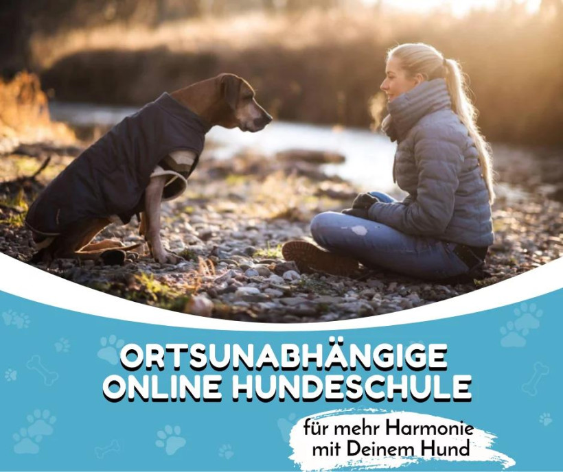 Banner Hundetraining.me Hundeschule